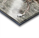 78E1B13B 4BAC 485E 8ACA 930D51ADAB08 1 105 c Acrylic print