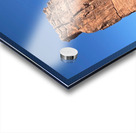 The Organ Acrylic print