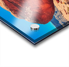 Balance Rock Acrylic print