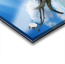 IMG 1646 Acrylic print