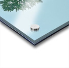 IMG 1639 Acrylic print