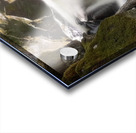 Forest Flow -2  Acrylic print