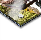 Bridge over Deception Falls Acrylic print