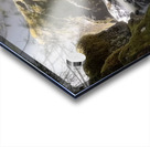 Forest Flow Acrylic print