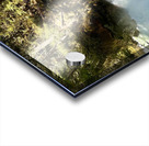 IMG 2459 Acrylic print