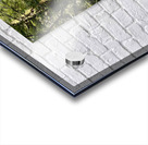 IMG 2451 Acrylic print