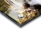 IMG 2445 Acrylic print