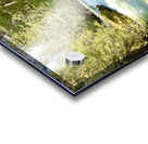 Deception Falls -1 Acrylic print