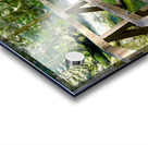 Bend in the Forest Acrylic print