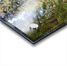 Beautiful…. Acrylic print