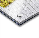 IMG 2510 Acrylic print