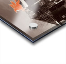 Hackberry Acrylic print