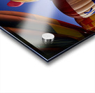 Standing at attention ready for flight Acrylic print