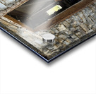 IMG 6578 Acrylic print