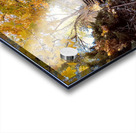 Autumn Staircase Acrylic print