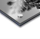 Joshua Tree Acrylic print