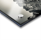 The Feathers Acrylic print