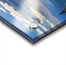 Monsoon Season -1 Acrylic print