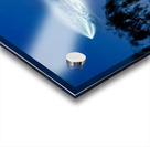 Space X Launch -1 Acrylic print