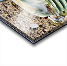 Vintage green truck Acrylic print