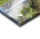 Multnomah Falls Acrylic print