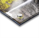 Latourell Falls  Acrylic print