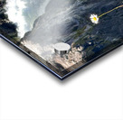 Snoqualmie falls through the Daiseys Acrylic print