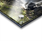 Lower Falls Twin Falls Maui Hawaii Acrylic print