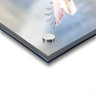 Take Flight Acrylic print