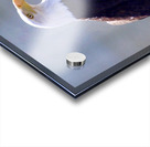 Majestic Acrylic print