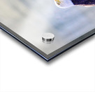 On Duty Acrylic print