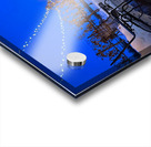 Winter Wine Acrylic print