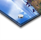 Wild Horses Monument Acrylic print