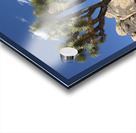 Joshua Tree -2 Acrylic print