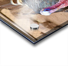 Wild Turkey Acrylic print