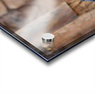 Ravens Acrylic print