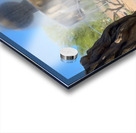 Fountain at English Village Acrylic print