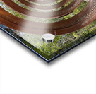 IMG 1694 Acrylic print