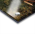 The path less traveled -vertical Acrylic print