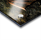 The path less traveled Acrylic print