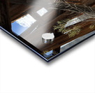 Under the Trestle Acrylic print