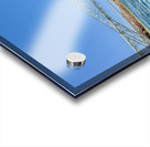 The Topock Bridge -3 Acrylic print