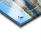 Vantage Bridge -2 Acrylic print