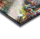 Baird Springs Tunnel -horizontal Acrylic print