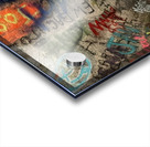 Baird Springs Tunnel -vertical Acrylic print