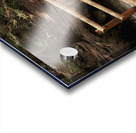 Forest Bridge Acrylic print