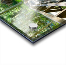 In To the Woods Acrylic print