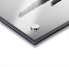 Saguaro Dream in black and white -1 Acrylic print