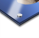 Skull Rock Joshua Tree National Park Acrylic print