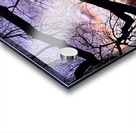 Purple and Orange Acrylic print